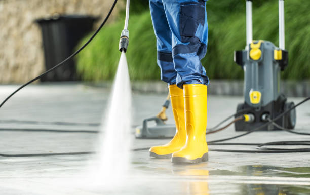 Best Local Pressure Washing Services  in Pequot Lakes, MN