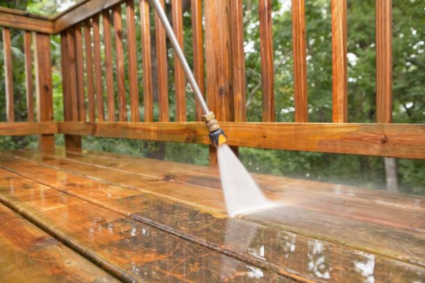 Best Roof Power Washing Services  in Pequot Lakes, MN