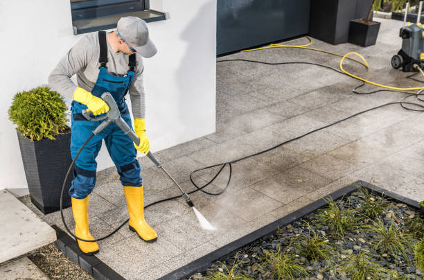 Best House Pressure Washing  in Pequot Lakes, MN