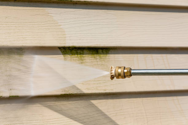 Best Best Pressure Washing Companies  in Pequot Lakes, MN