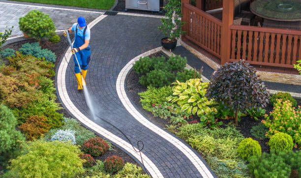 Best Fence Pressure Washing  in Pequot Lakes, MN