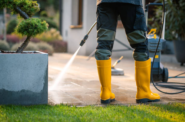 Best Residential Pressure Washing Services  in Pequot Lakes, MN